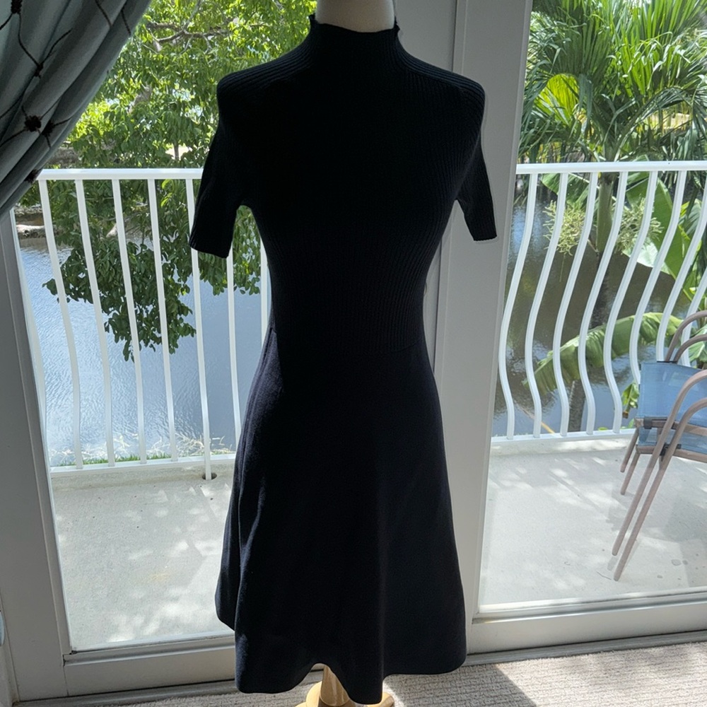 Lark & Ro dress size small